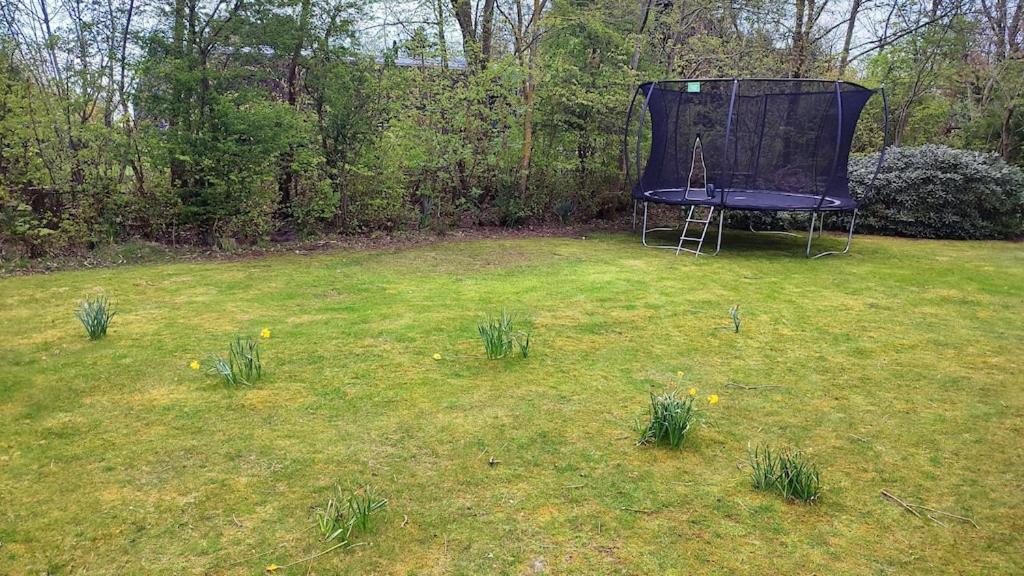 Vakantiehuis Hollum Ameland Dichtbij Strand En Met Ruime Tuin - Ameland39 Nl Dış mekan fotoğraf